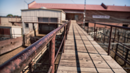 COVID-19 What it Means to Cattlemen